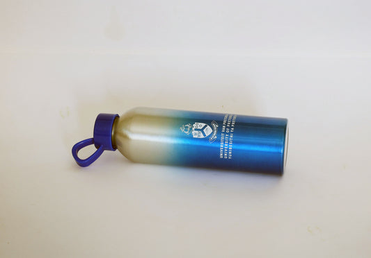 Aluminium 650ml Water Bottle