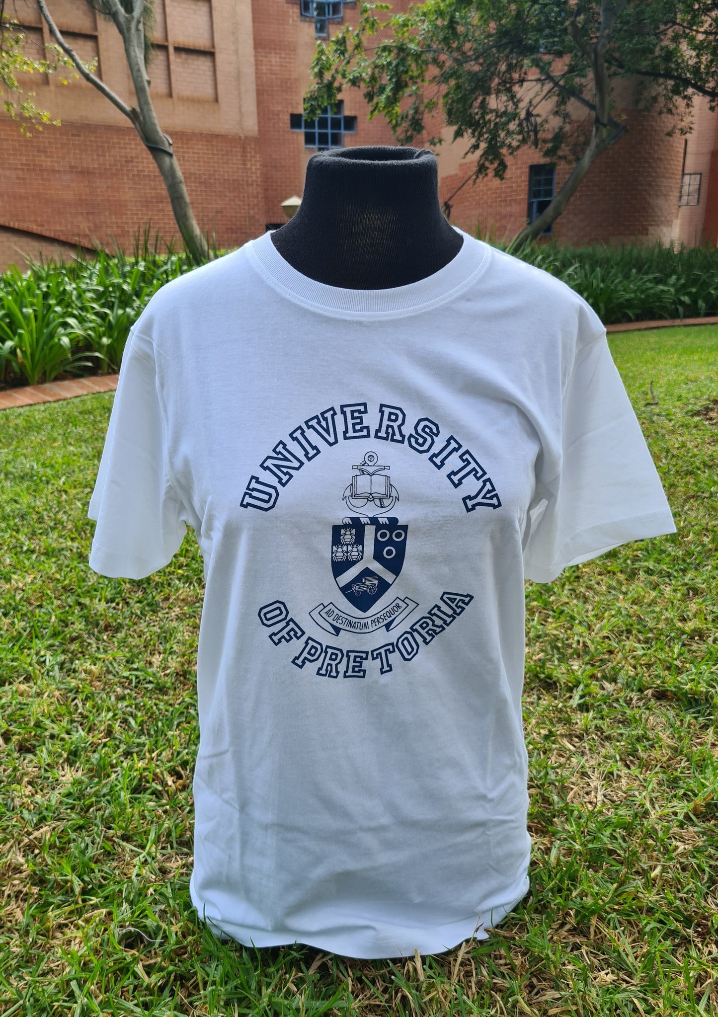 Short Sleeve T-Shirt Harvard Design